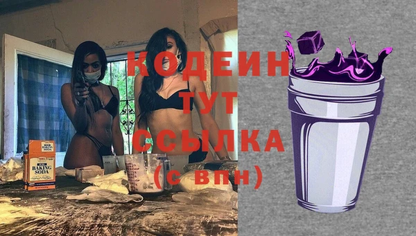 хмурый Липки