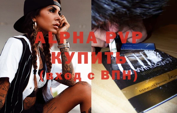 хмурый Липки