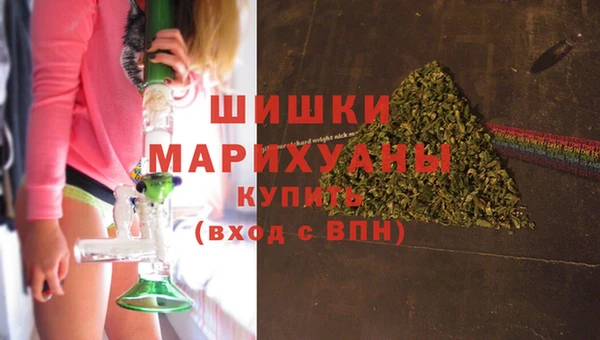 хмурый Липки