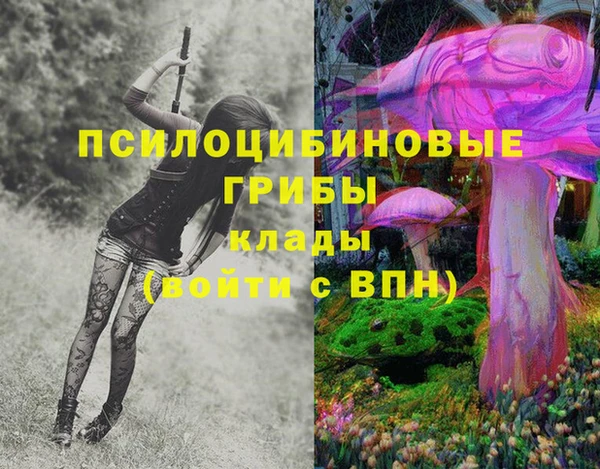 хмурый Липки