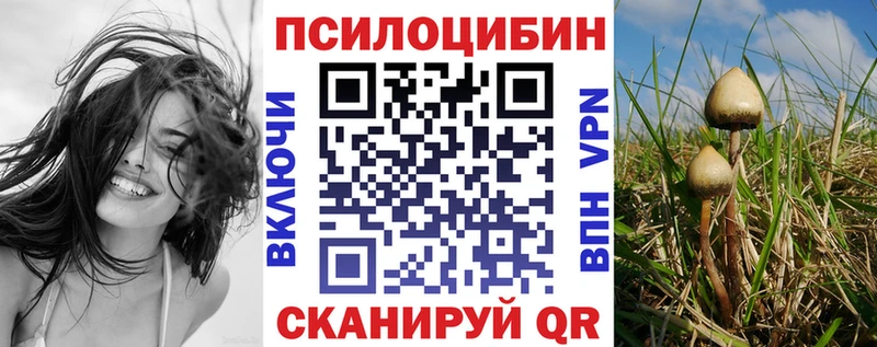 Купить где  Белореченск  Галлюциногенные грибы Cubensis 